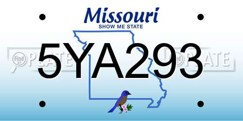 5YA293 Missouri License Plate