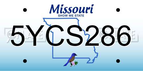 5YCS286 Missouri License Plate