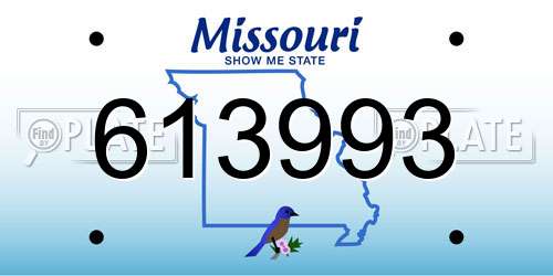 613993 Missouri License Plate