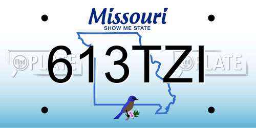613TZI Missouri License Plate