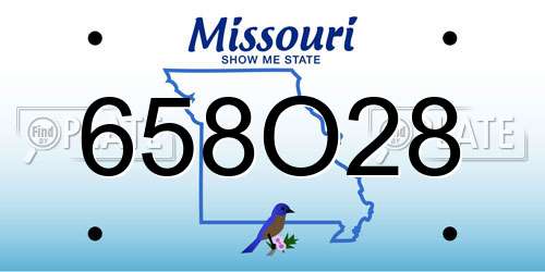 658O28 Missouri License Plate