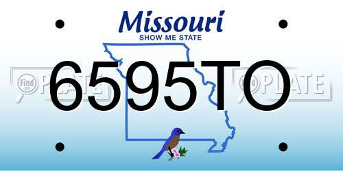 6595TO Missouri License Plate