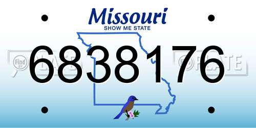 6838176 Missouri License Plate