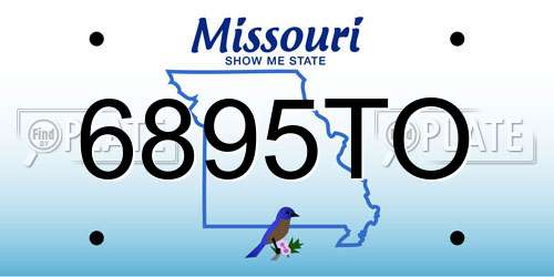6895TO Missouri License Plate