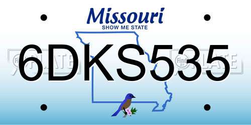 6DKS535 Missouri License Plate