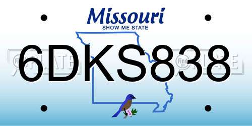 6DKS838 Missouri License Plate