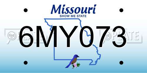 6MY073 Missouri License Plate