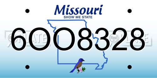 6OO8328 Missouri License Plate