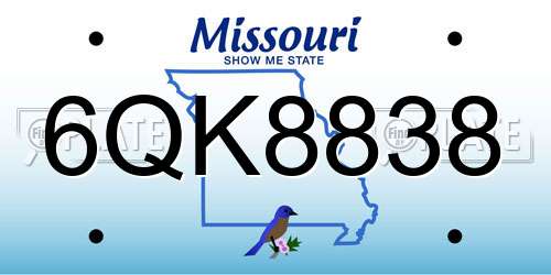 6QK8838 Missouri License Plate