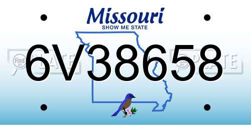 6V38658 Missouri License Plate