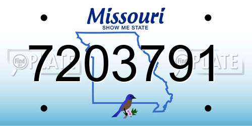 7203791 Missouri License Plate