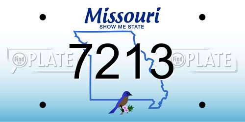7213 Missouri License Plate