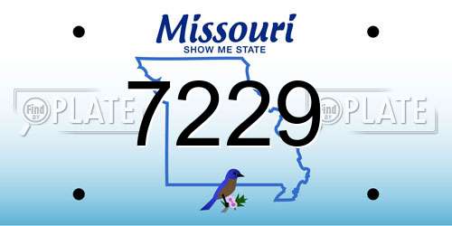 7229 Missouri License Plate