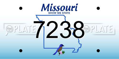 7238 Missouri License Plate