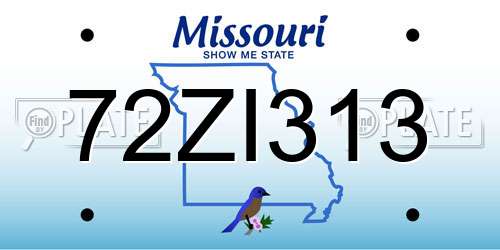 72ZI313 Missouri License Plate