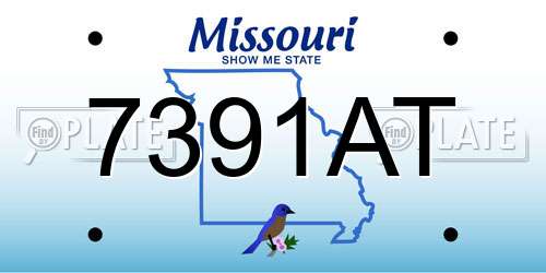 7391AT Missouri License Plate