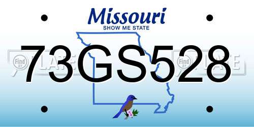 73GS528 Missouri License Plate