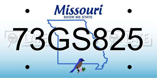73GS825 Missouri License Plate