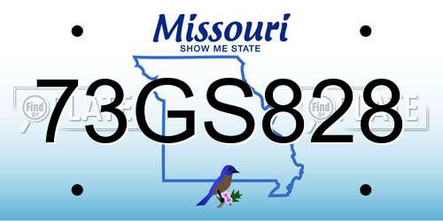 73GS828 Missouri License Plate