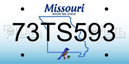 73TS593 Missouri License Plate