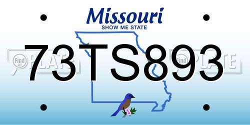 73TS893 Missouri License Plate