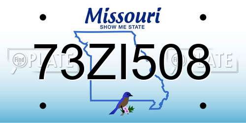 73ZI508 Missouri License Plate