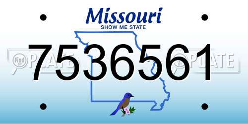 7536561 Missouri License Plate