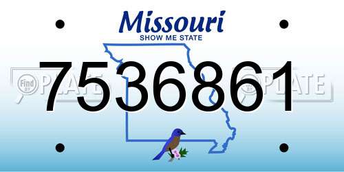 7536861 Missouri License Plate