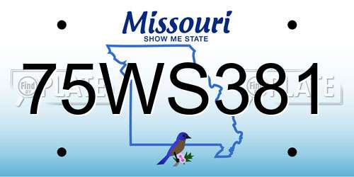 75WS381 Missouri License Plate