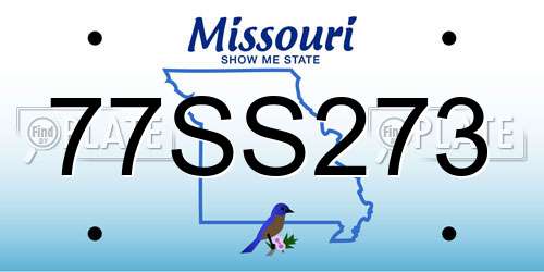 77SS273 Missouri License Plate