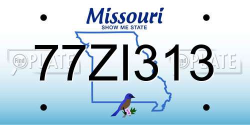 77ZI313 Missouri License Plate