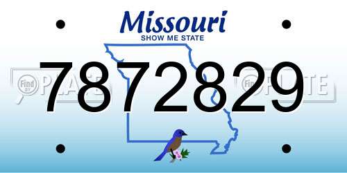 7872829 Missouri License Plate