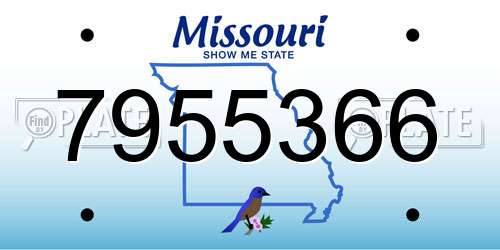 7955366 Missouri License Plate