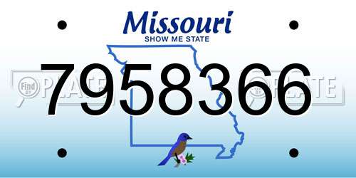 7958366 Missouri License Plate