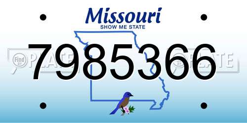 7985366 Missouri License Plate