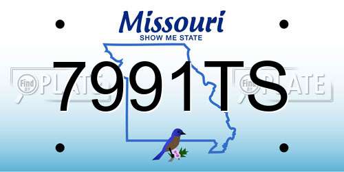 7991TS Missouri License Plate