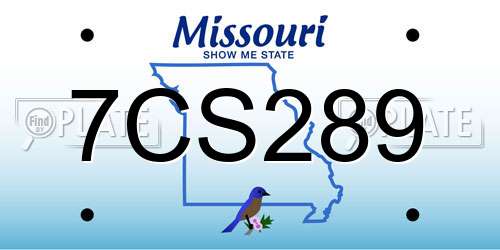 7CS289 Missouri License Plate