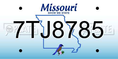 7TJ8785 Missouri License Plate