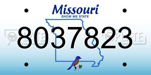 8037823 Missouri License Plate