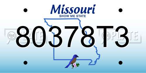 80378T3 Missouri License Plate