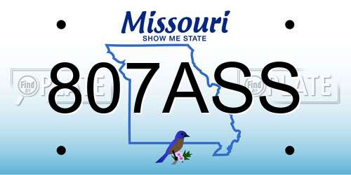 807ASS Missouri License Plate