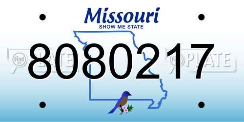 8080217 Missouri License Plate