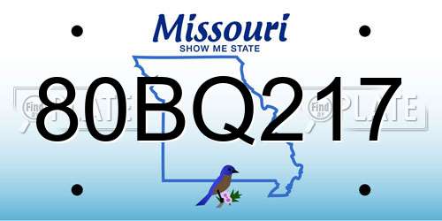 80BQ217 Missouri License Plate