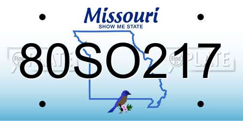 80SO217 Missouri License Plate