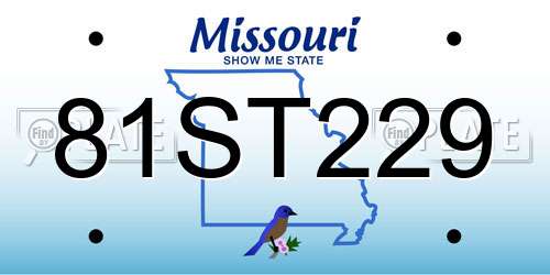 81ST229 Missouri License Plate