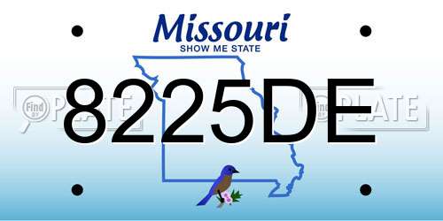 8225DE Missouri License Plate