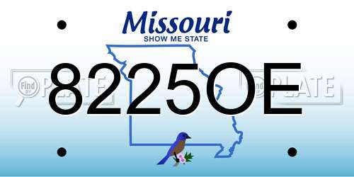 8225OE Missouri License Plate