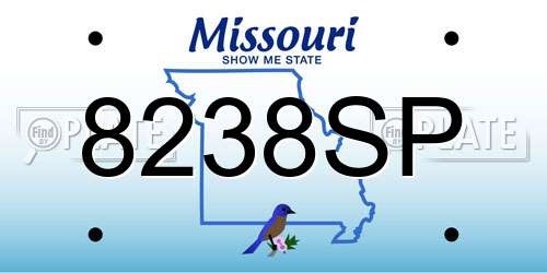 8238SP Missouri License Plate