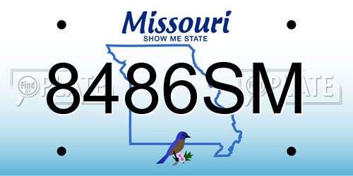 8486SM Missouri License Plate