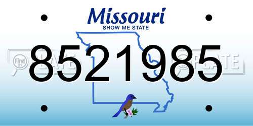 8521985 Missouri License Plate